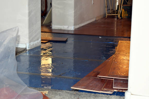 Professional Burst Pipe Cleanup technician working in Midway, AR